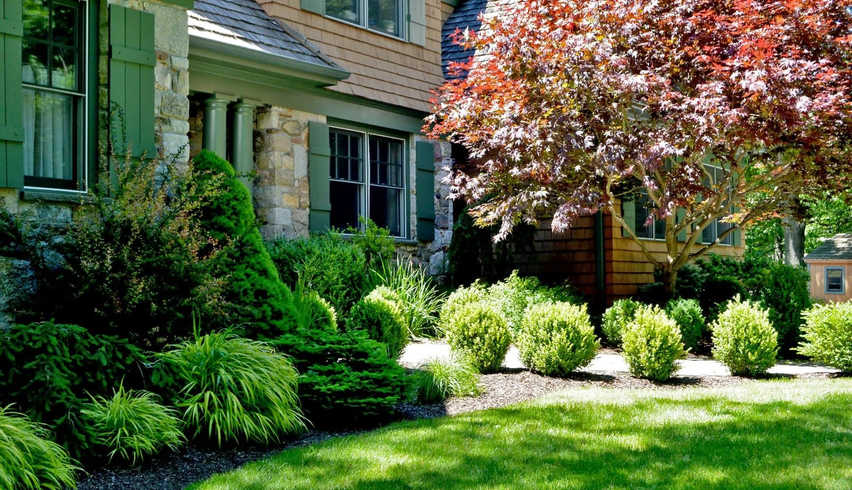 Tree & Shrub Planting Services in North Port, FL