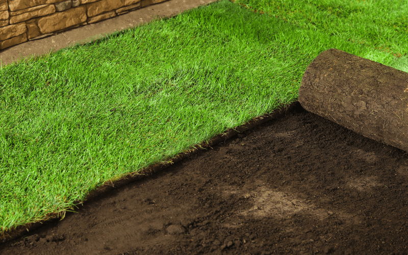 Sod Installation Services in North Port, FL